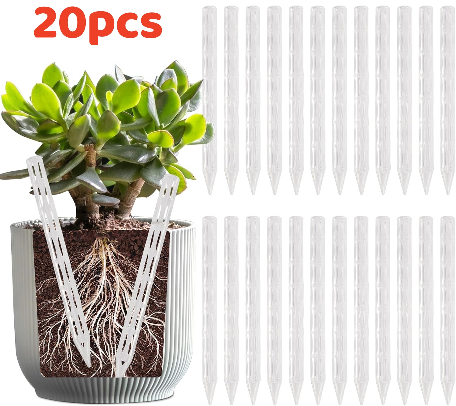 Plant Parenting - Tuyaux de drainage pour éviter la