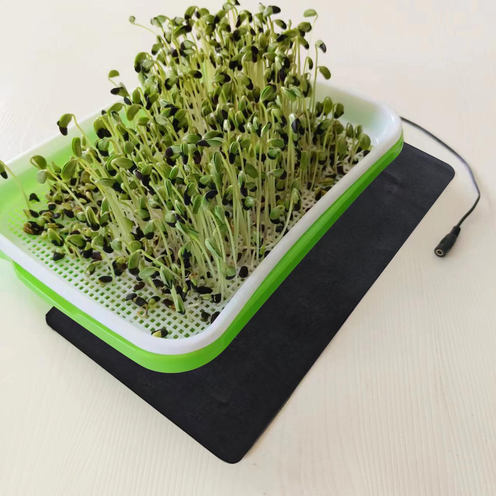 Tapis chauffants USB 8,5 W pou - Plant Parenting avis et prix