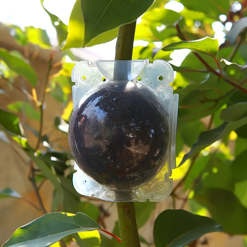 Kit de 10 pièces pour la propa - Plant Parenting avis et prix