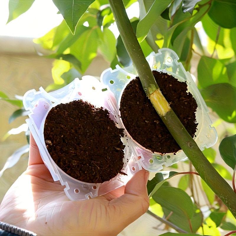Kit de 10 pièces pour la propa - Plant Parenting avis et prix