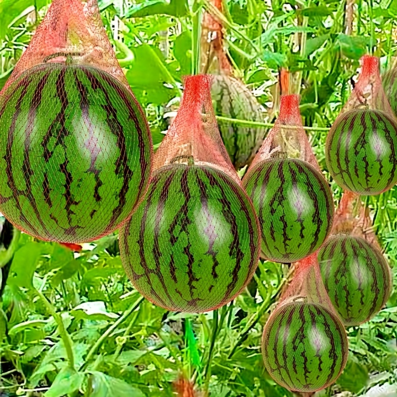 100 pièces de filet de jardin  - Plant Parenting avis et prix